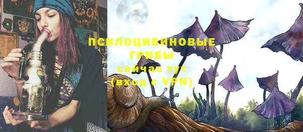 МДПВ Абинск