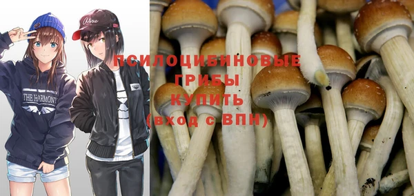 МДПВ Абинск