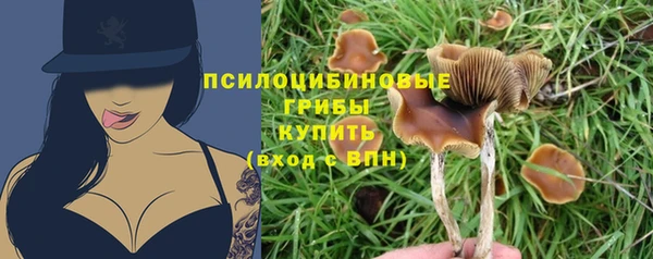 прущие крисы Абдулино