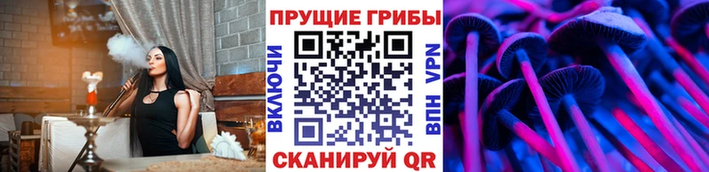 Галлюциногенные грибы прущие грибы  Абаза 
